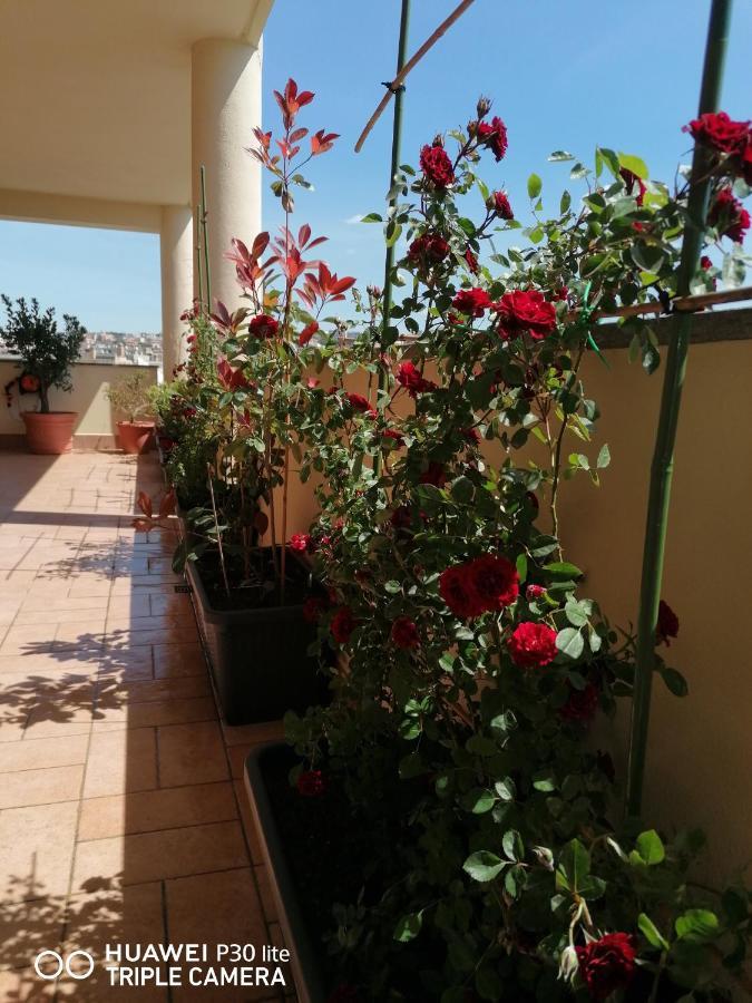 B&Byanet'S Beautiful House Civitavecchia Bagian luar foto